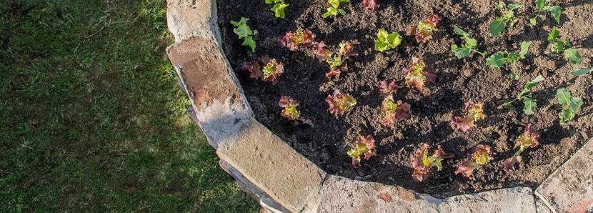 Hochbeet aus Ziegelsteinen