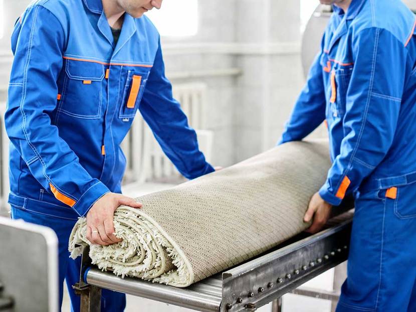 Professionelle Teppichreinigung