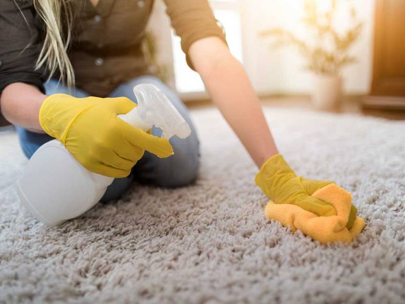 Teppich reinigen