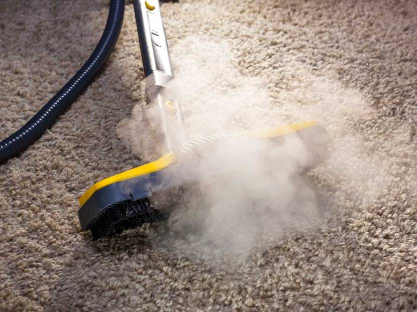 Dampfreiniger auf dem Teppich