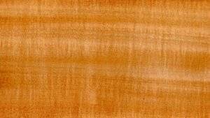 Lindenholz