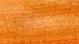 Platanenholz