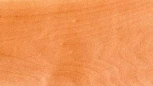 Holz Ahorn