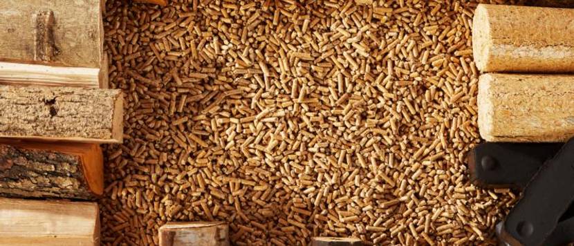 holzbriketts-oder-holz