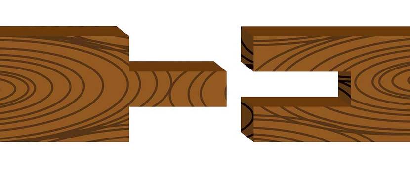 Nut und Feder als Illustration