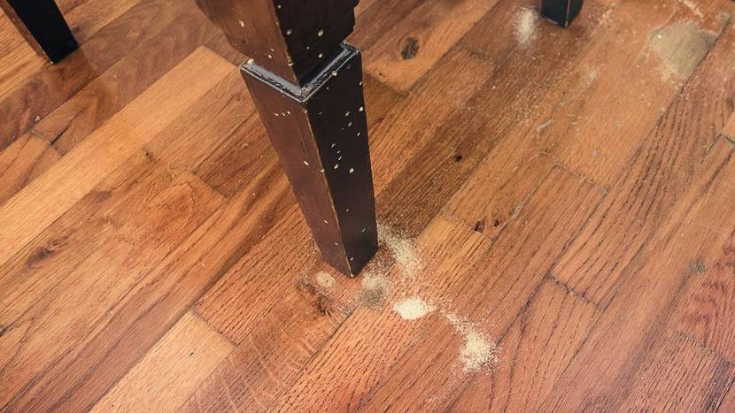 Holzwurmbekämpfung befallenes Möbelstück