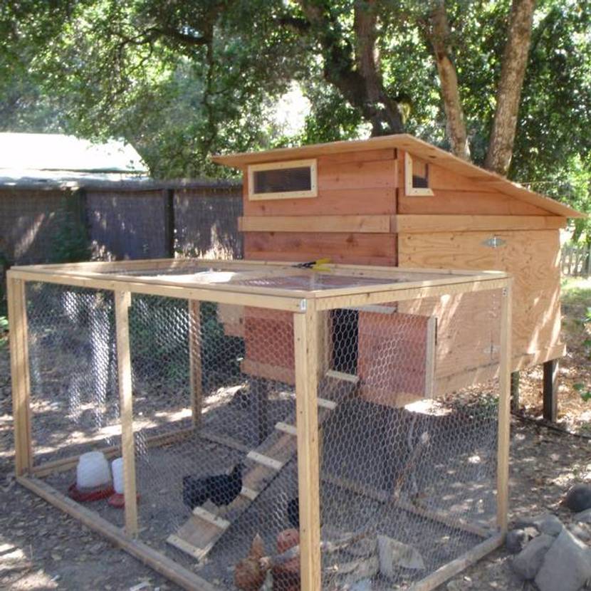 Hühnerstall selber bauen Anleitung