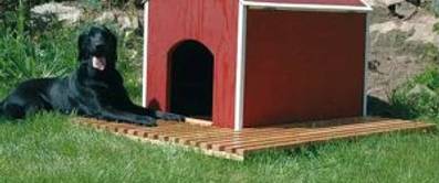 Hundehütte selber bauen: In 5 Schritten zur selbstgebauten Hundehütte