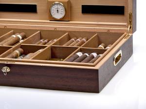zigarren humidor freigestellt auf weißem hintergrund