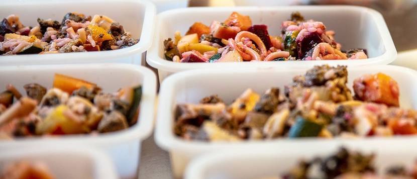 Hundefutter selbstgemacht und abgefüllt in Portionen
