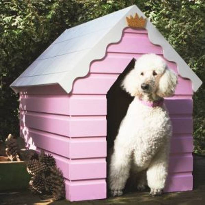 hundehuette-prinzessin