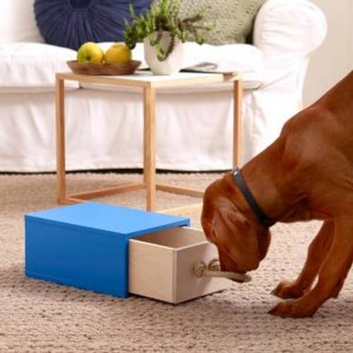 Hundespielzeug selber machen: Kreative DIY-Anleitung in 3 Schritten -  heimwerker.de