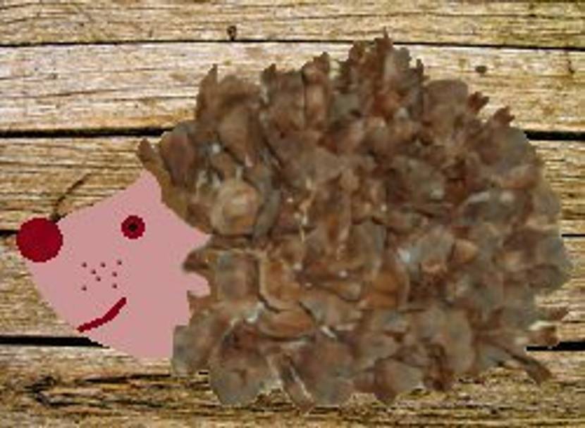 Igel basteln aus Naturmaterialien