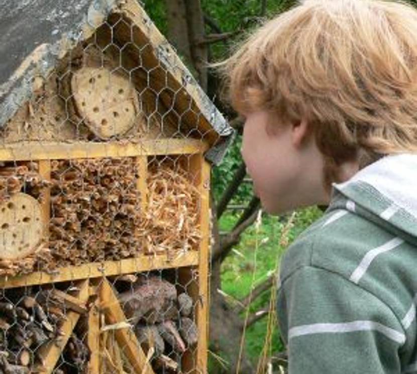 insektenhaus-interessant-fuer-kinder