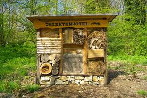 insektenhotel-ideen