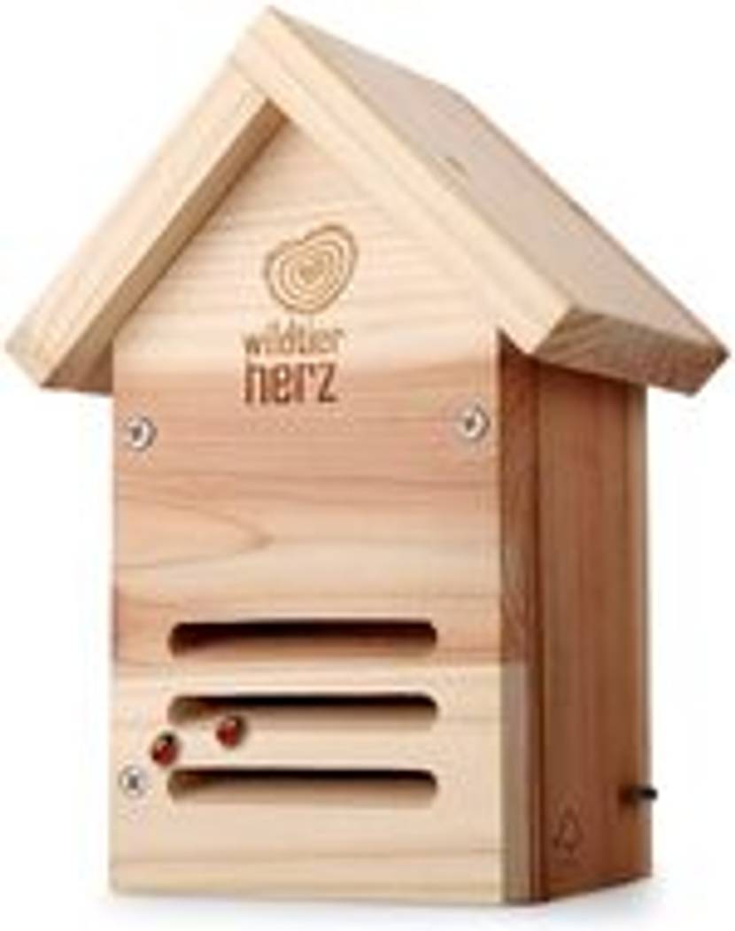 insektenhotel-ausrichten