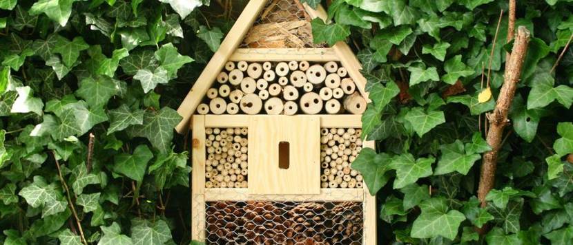 insektenhotel-test