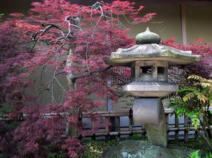 japanischer-garten-deko
