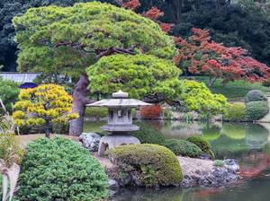 japanischer-garten-pflanzen