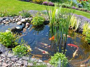 japanischer-garten-teich