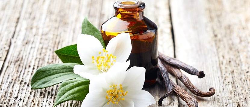 jasminoel aromatherapie