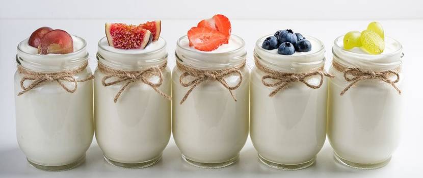 joghurt selber machen
