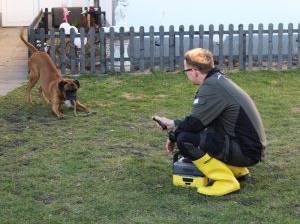 Haustier-Reinigung mit dem mobilen Kärcher?