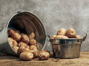 kartoffeln-lagern-tipps
