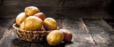kartoffeln-richtig-lagern