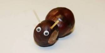 kastanien-basteln-28 Aus zwei Kastanien basteln Kinder eine kleine Schnecke
