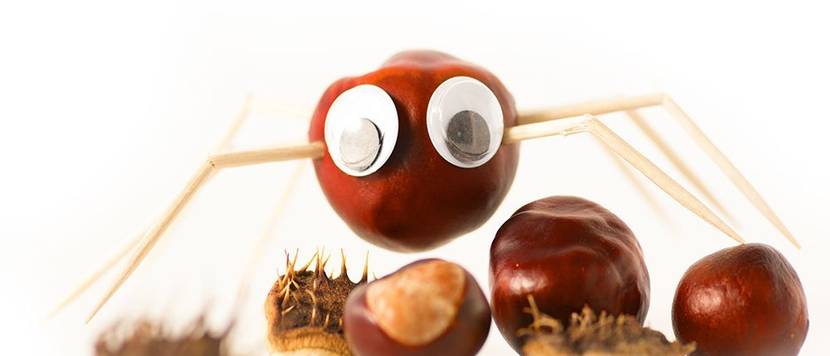 Basteln mit Kastanien im Herbst