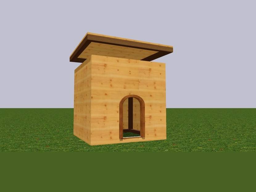 Dach auf das Katzenhaus setzen