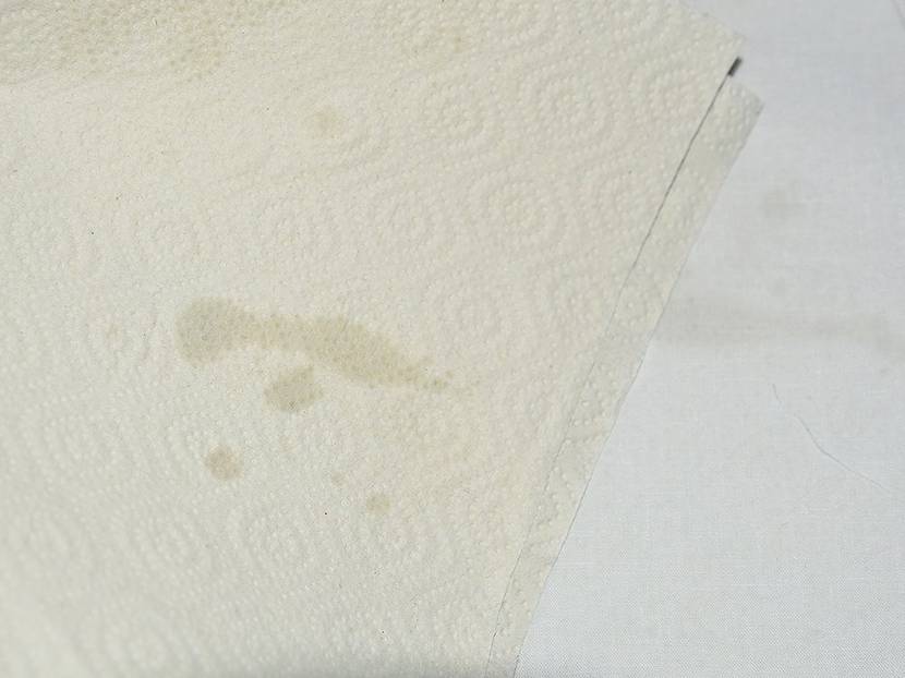 Das Küchenpapier nimmt das Wachs auf.