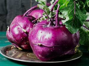 kohlrabi-anpflanzen-blau