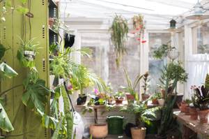 wintergarten