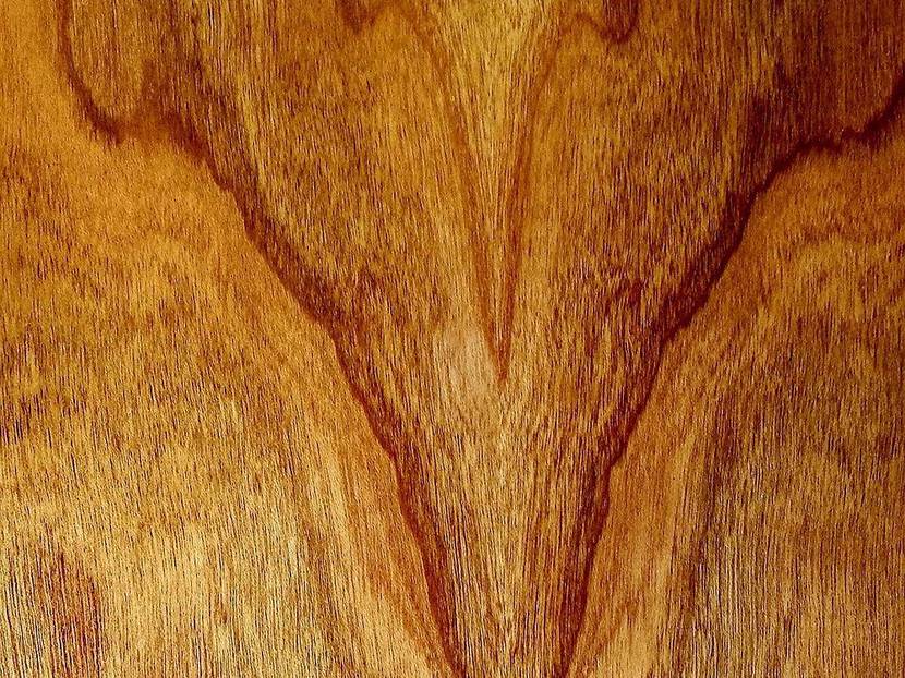 holzfurnier