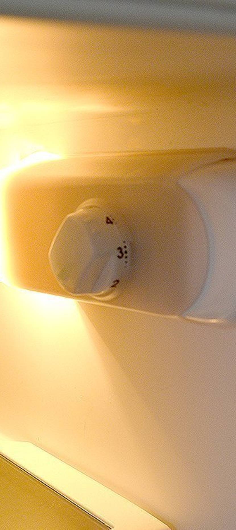 Abgetauten Kühlschrank in Betrieb nehmen.