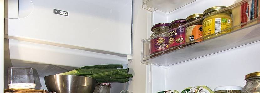 Kühlschrank abtauen in 11 Schritten