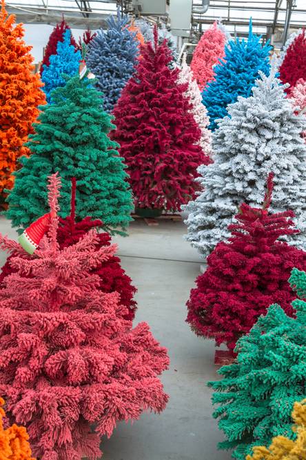 Künstlicher Weihnachtsbaum im Test & Vergleich: 2 klare Sieger!