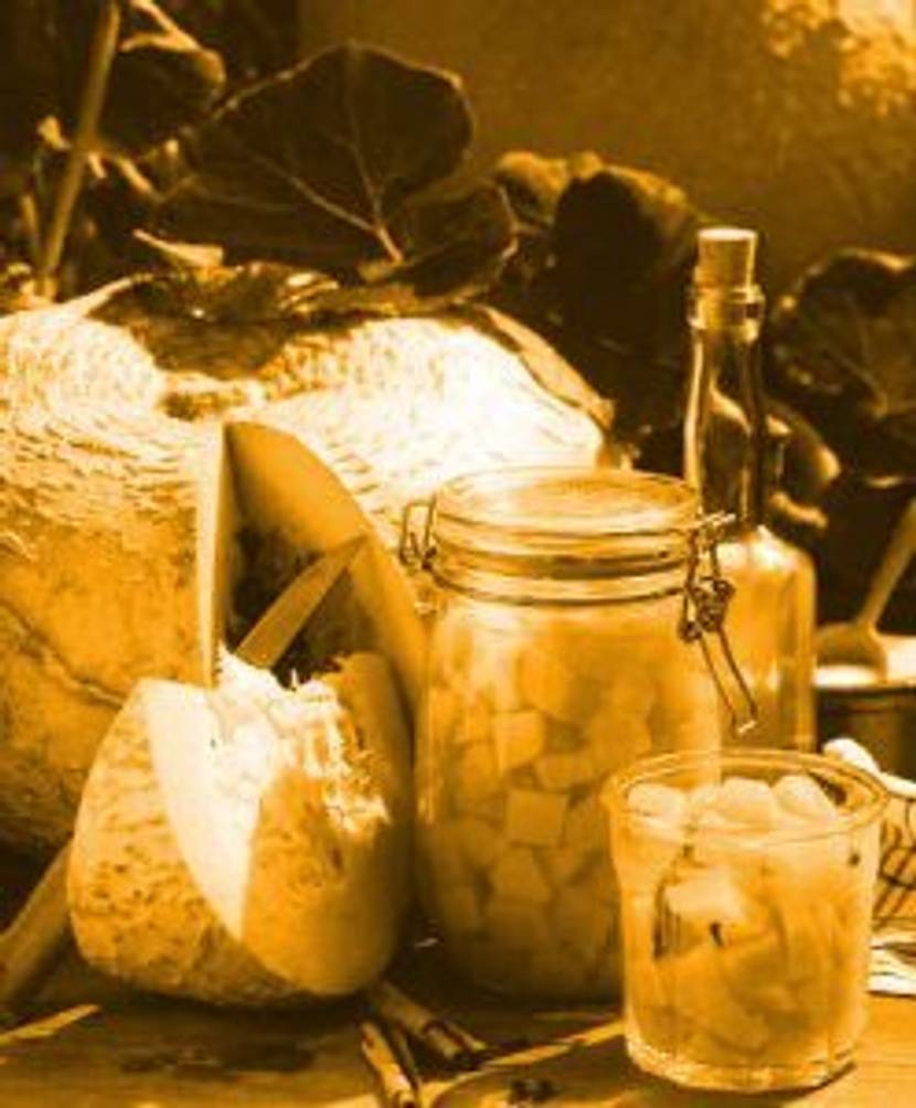 kuerbis-rezepte-eingelegter-kuerbis