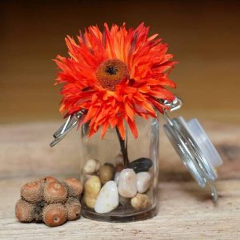 rote blume in glas mit steinen