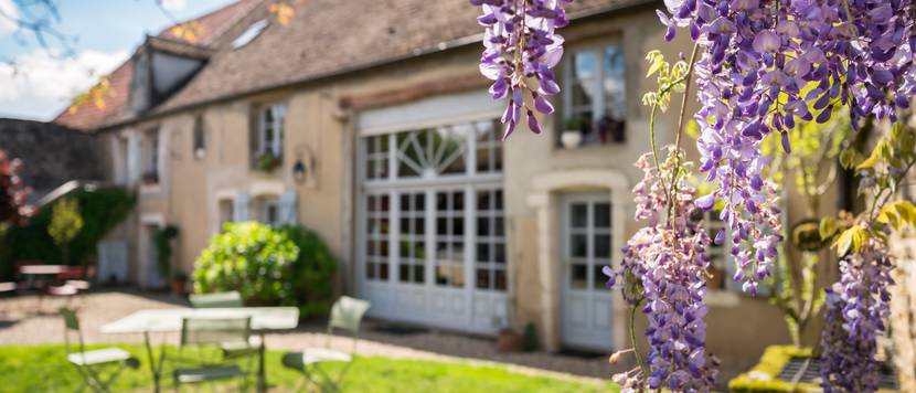 Landhaus mit Garten, Flieder im Vordergrund.