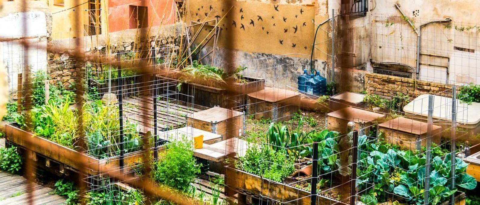 Back to nature: Urbane Landwirtschaft für ein grüneres und gesünderes