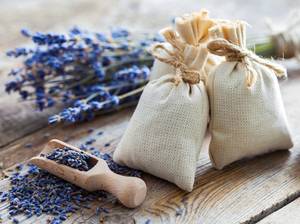 lavendel-duft