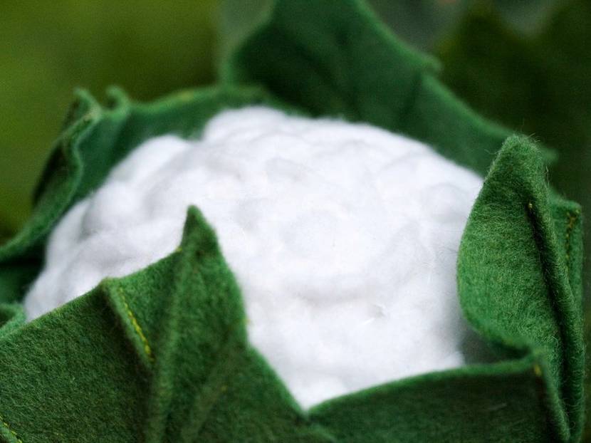 Aufwändige Idee aus Filz: ein großer Blumenkohlkopf.