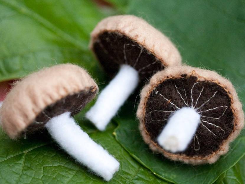 Frische Champignons sorgen in der Kinderküche für mehr Abwechslung.