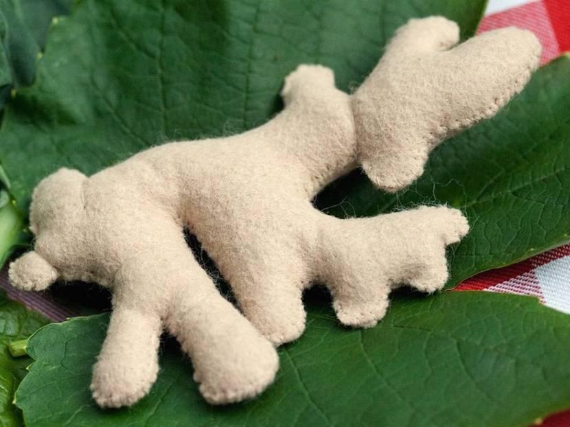 Ingwer lässt sich leicht von Hand aus zwei Filzteilen nähen.