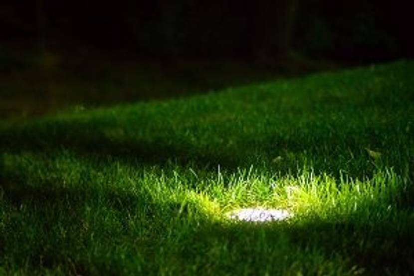 led licht