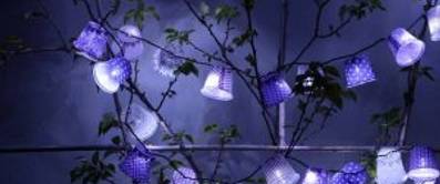 licht