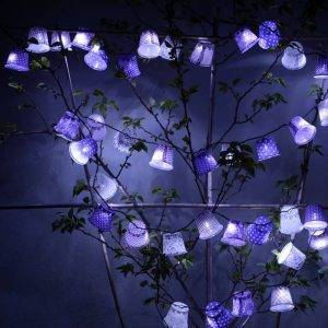 licht